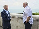 Ruský prezident Vladimir Putin na schzce s bloruským vdcem Alexandrem...