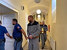 Obalovan Pavel Prochzka (v poped) a Roman Kork u plzeskho soudu. Podle...