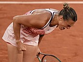 Aryna Sabalenková oslavuje postup do čtvrtfinále Roland Garros.