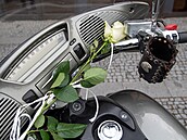 Nejeden motorkář přijel s květinou na řídítkách.