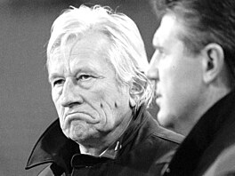 Karel Brückner netrénoval Drnovice dlouho, jen na jae v sezon 1993/94...
