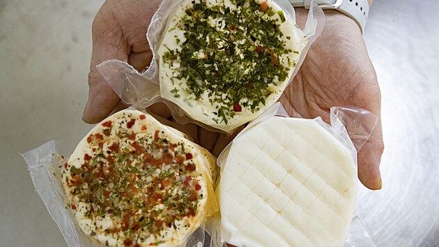 V sousedství kravína se vyrábějí lahodné jogurty, tvarohy, sýry nebo osvěžující mléčné nápoje. (30. května 2023)