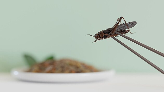 Ilustra�n� sn�mek