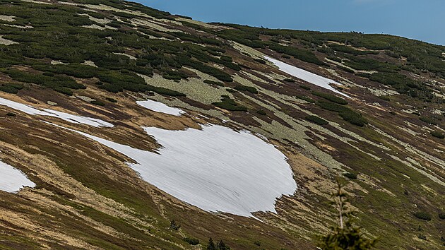 Sněhová vrstva Mapa republiky se rýsuje na úbočí Studniční hory v Krkonoších. (1. 6. 2023)