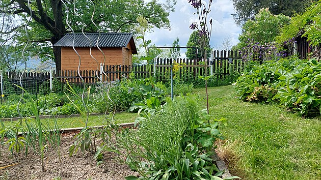 Zeleninová zahrada, za plotem louka se včelínem.