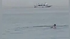 Žralok usmrtil Rusa u pláže hotelu Dream Beach v egyptské Hurghadě