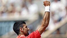 Novak Djokovi slaví vyuití brejkbolu v semifinále Roland Garros.