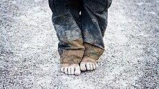 ilustra�ní snímek