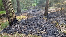 Požár lesa v CHKO Kokořínsko (31. 5. 2023)