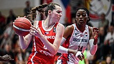 Momentka z utkání �esko - Velká Británie.