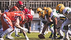 Momentka ze zápasu Prague Lions - Leipzig Kings