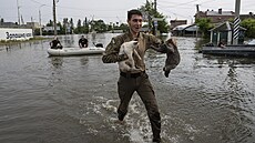 Lidé v Chersonu zachraují zvíata ped záplavami, které zpsobila exploze na...