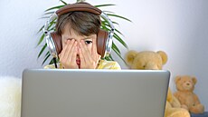 ilustra�ní snímek