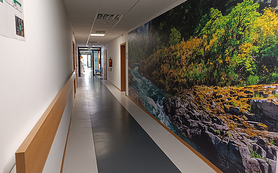 V zázemí nemocnice nechybí jídelna, dílna pro pracovní terapie nebo spole�enská...