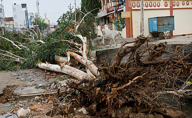 Pobřeží Indie a Pákistánu pustoší cyklon. Evakuováno bylo 180 tisíc lidí