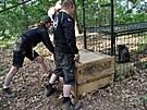 Makak uprchlý z dínské zoo v odchytové kleci. (15. ervna 2023)