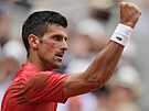 Novak Djokovi ve finále Roland Garros
