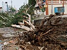 Strom vyvrácený silným vtrem ped píchodem cyklonu Bipardoj v západním stát...