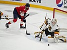 Adin Hill patí k pekvapivým hrdinm finále hokejové NHL.