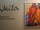 Expozice Míly Doleelové v Teli je nejvtí její stálou výstavou jejích...
