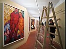 Píprava nové stálá expozice obraz Míly Doleelové v Univerzitním centru na...