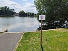 Mstský nebo té Drozdovický rybník v Prostjov, kde letos labutí pár vyvedl...