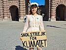 Dvacetiletá klimatická aktivistka Greta Thunbergová dokonila kolu. (9. ervna...