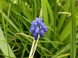 Fotografie po��zen� smartphonem Nokia XR21