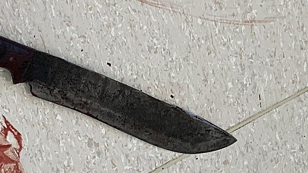 Dev�tadvacetilet� mlad�k v p�tek odpoledne v ��eskobud�jovick� nemocnici posekal t�i sestry a sanit��e.