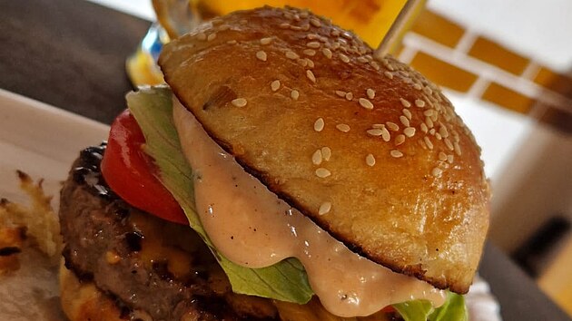 Hovz hamburger B11"