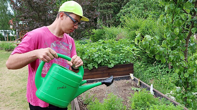 Klienti slu�by soci�ln� rehabilitace Spir�la, kterou provozuje vrchlabsk� Diakonie �CE � st�edisko Sv�tlo.