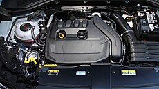 Od roku 2025 ponese motor 1,5 TSI Evo2 oznaení Made in Czech republic.