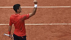 Novak Djokovi ve finále Roland Garros