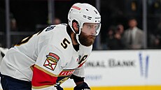 Aaron Ekblad odehrál �ást play off NHL se zran�ním.