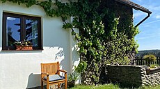 Vinná réva si oblíbila pergolu i p�ední st�nu chalupy.