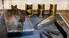 Pozůstatky spálených kostí vědci nalezli v zemi v prostoru bývalého popraviště,...