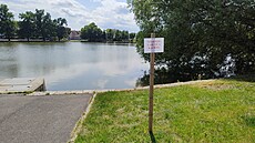 M�stský nebo té� Drozdovický rybník v Prost�jov�, kde letos labutí pár vyvedl...