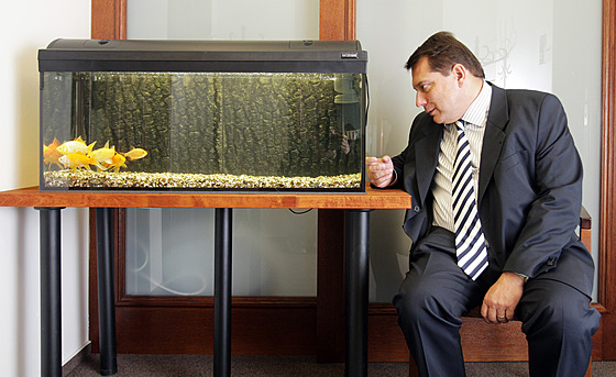 Jií Paroubek se svým akvariem v Lidovém dom. Portrét nkdejího éfa SSD...
