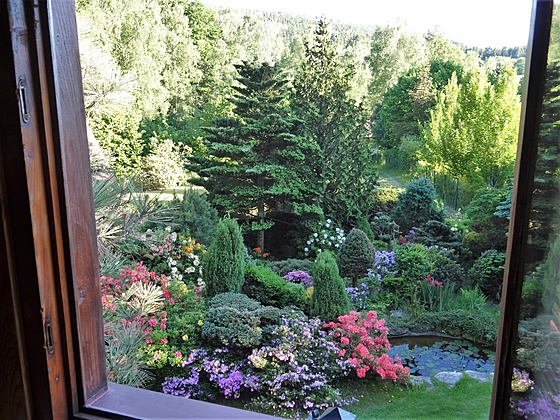 Pohled z okna na zahradu v dob, kdy kvetou milované azalky. 