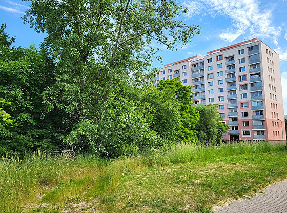 Bytový d�m má vyr�st na míst� vzrostlé náletové zelen� vedle parkovi�t� u...