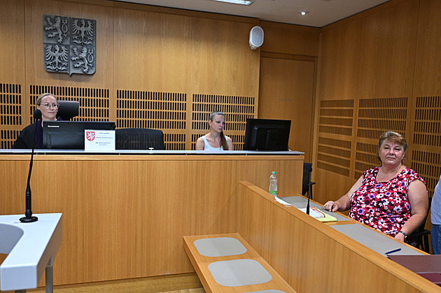 Případ prostořeké učitelky Bednářové a facka ústavnímu právu na svobodu projevu