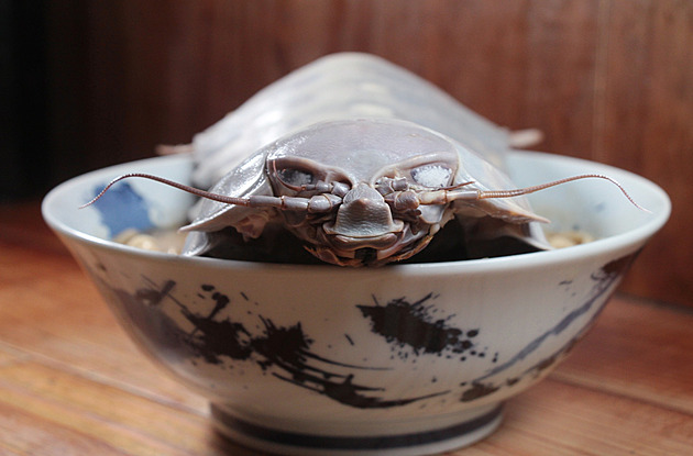 Mrchožrout z hlubin je odpudivou specialitou tchajwanského šéfkuchaře