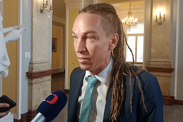 Vláda posílá do Sněmovny Istanbulskou úmluvu o potírání násilí na ženách