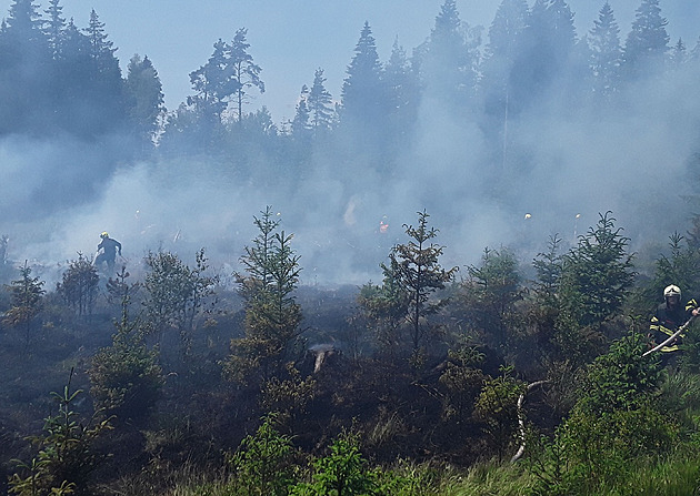 Na Sokolovsku hořel hektar lesa, v obtížném terénu pomáhal hasit vrtulník