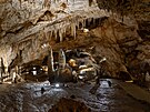 Jeskyn Lipa je krasová jeskyn nacházející se poblí Cetinje v erné Hoe. Má...