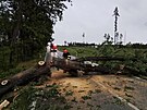 Hasii na Pelhimovsku, , Jihlavsku a ársku zasahují u popadaných strom....