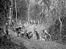 Amerití a australtí vojáci prorazili stezku skrz kilometry dungle a pes...