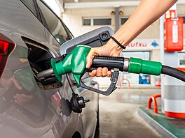 ilustra�ní snímek