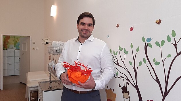 Petr Marcin z VUT se tikrt zvtenm 3D modelem cvn vady Veroniky Tillov. Oranov st je ta, kterou lkai pi operaci museli odstranit.