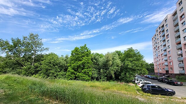 Bytov� d�m m� vyr�st na m�st� vzrostl� n�letov� zelen� vedle parkovi�t� u bytov�ho domu Harmonie I v Hradci Kr�lov�.